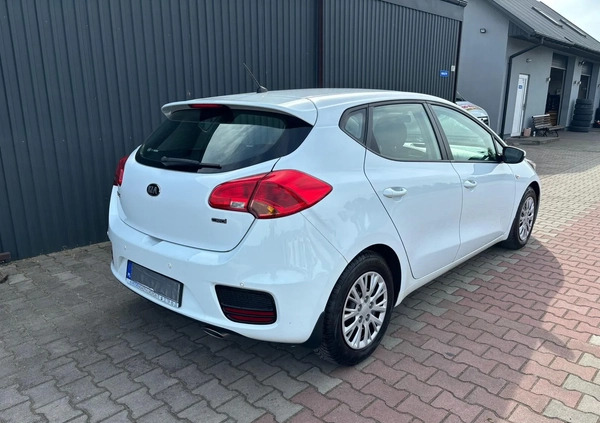 Kia Ceed cena 31999 przebieg: 205000, rok produkcji 2016 z Kielce małe 211